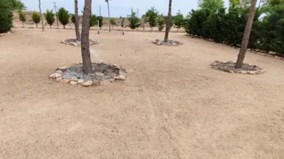Rustic finca in La Roda photo 28