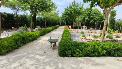 Rustic finca in La Roda photo 31