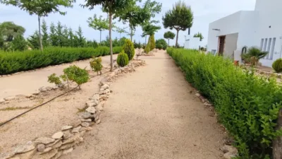 Rustic finca in La Roda photo 32