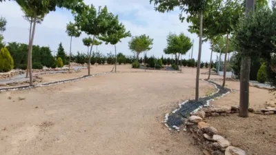 Rustic finca in La Roda photo 5