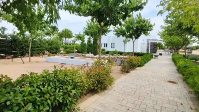 Rustic finca in La Roda photo 9