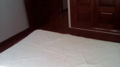 Piso en alquiler en Calle del Ferrocarril, Caño Argales (Valladolid Capital) de 750 €<span>/mes</span>