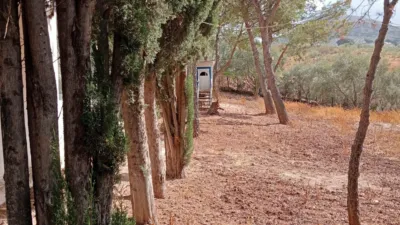 House on Dehesa La Ratera Street photo 17