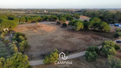 Rustic Finca in Trigueros photo 3