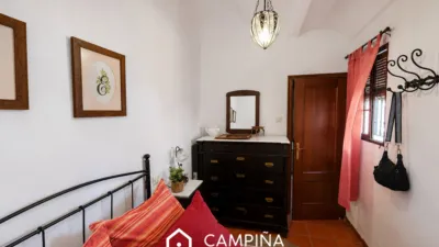 House in Zalamea La Real photo 4