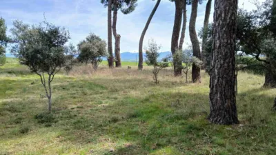 Single-family chalet on Calle Er Extrarradio Poligono 2 Parcela 5003, nº 5003 photo 24