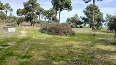 Single-family chalet on Calle Er Extrarradio Poligono 2 Parcela 5003, nº 5003 photo 22