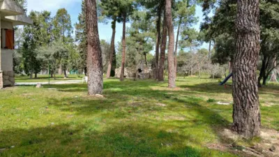 Single-family chalet on Calle Er Extrarradio Poligono 2 Parcela 5003, nº 5003 photo 13