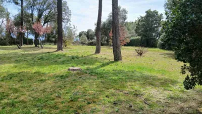 Single-family chalet on Calle Er Extrarradio Poligono 2 Parcela 5003, nº 5003 photo 5