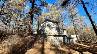 House in El Paso photo 28