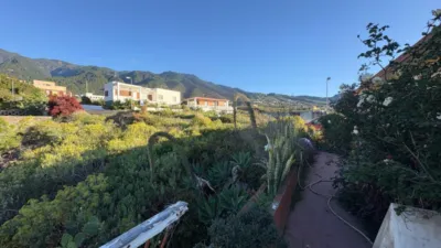 Rustic Finca in Santa Cruz de La Palma photo 27