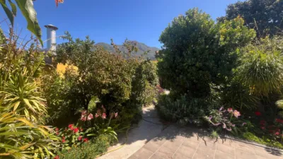 Semi-detached house in El Paso photo 25