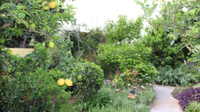Semi-detached house in El Paso photo 4