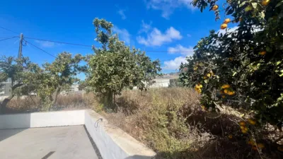 House in Los Llanos de Aridane photo 5