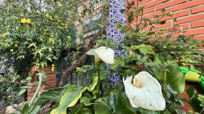 Casa en venta en Calle de Quintana, Belvís de La Jara de 125.000 €