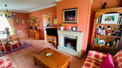 Chalet in Mendavia photo 25