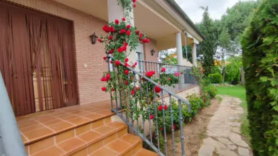 Chalet in Mendavia photo 2