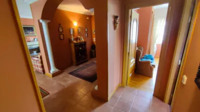 Chalet in Mendavia photo 22