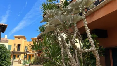 Casa en venta en Avenida de José Miguel Galván Bello, Las Chafiras (San Miguel de Abona) de 460.000 €