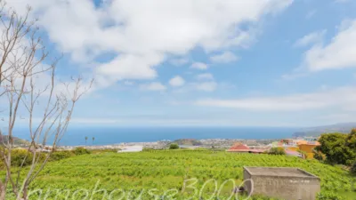 Detached house on Calle Manuel Vega Santos photo 23