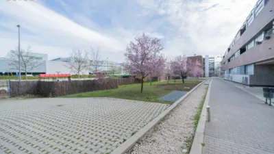 Apartment on Avenida de la Oliva photo 13