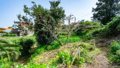 Rustic house on Calle del Marrero, 16 photo 27
