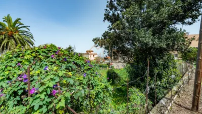 Rustic house on Calle del Marrero, 16 photo 48
