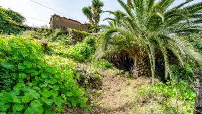 Rustic house on Calle del Marrero, 16 photo 18