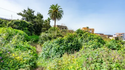 Rustic house on Calle del Marrero, 16 photo 7
