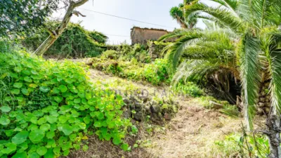 Rustic house on Calle del Marrero, 16 photo 20