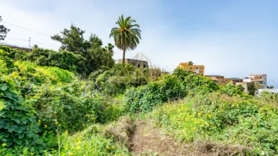 Rustic house on Calle del Marrero, 16 photo 8
