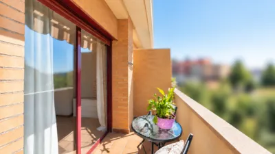 Apartment on Calle de los Jazmines photo 8