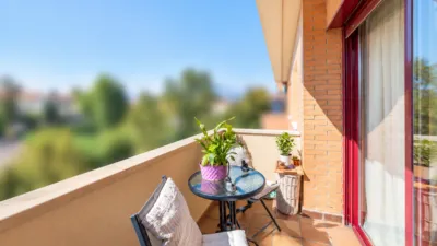 Apartment on Calle de los Jazmines photo 9