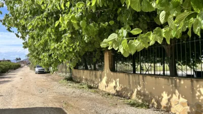 Casa – Orihuela, Vereda Brunete, Molins - Vista 2