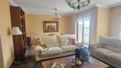 Apartment in Los Realejos photo 4