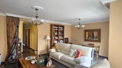 Apartment in Los Realejos photo 3