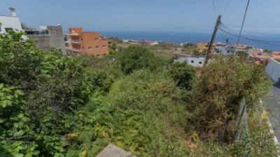 Single-family home on Camino Bencomia, 3 photo 4