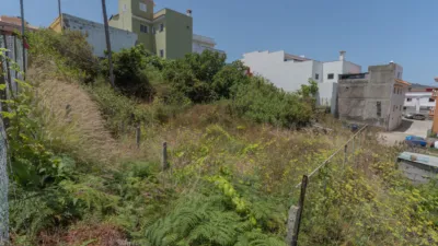 Single-family home on Camino Bencomia, 3 photo 6
