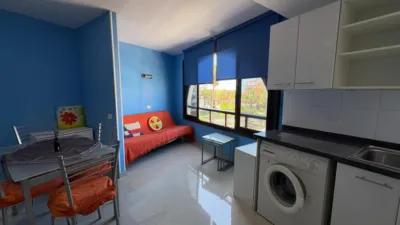 Apartment on Avenida de Rafael Puig Lluvina photo 5