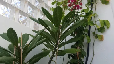 Casa en venta en Calle Atarjea Tahodio, Salamanca-Uruguay-Las Mimosas (Distrito Centro-Ifara. Santa Cruz de Tenerife Capital) de 220.000 €