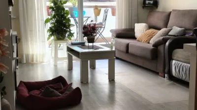 Apartment on Carrer Francesc Macià photo 3