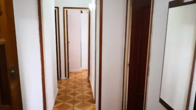 Apartment on Carrer de les Begònies photo 2