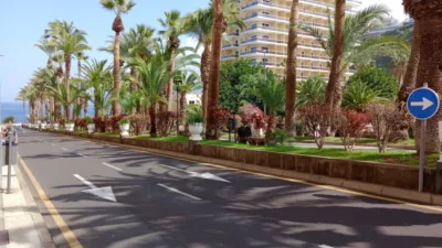 Apartment on Avenida del Aguilar y Quesada photo 32