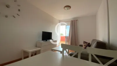 Apartment on Calle Celestino Glez Padron photo 2