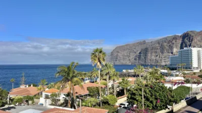 Apartamento en calle Magnolia photo 22