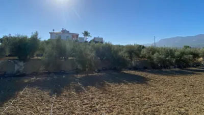 Rustic Finca in Centro photo 2