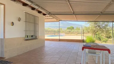 Rustic Finca in Centro photo 15