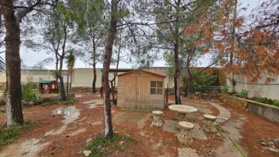 Chalet on Carretera de la Alcoraya photo 45