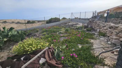 House in Agua Amarga-Urbanova photo 84