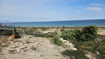 House in Agua Amarga-Urbanova photo 80